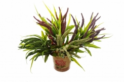 092 Veštačko zelenilo